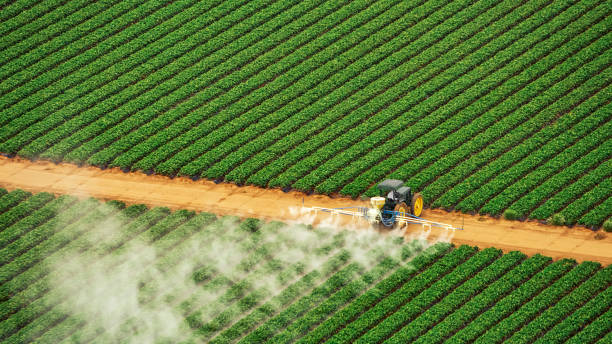 Best Best Pest Control Near Me  in Cane Savannah, SC